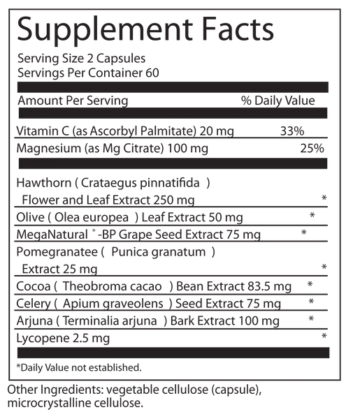 Power BP Support